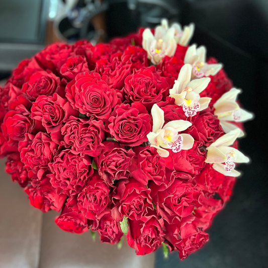 "Lovely Hearts"