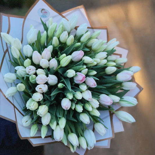 "Pastel Tulips"