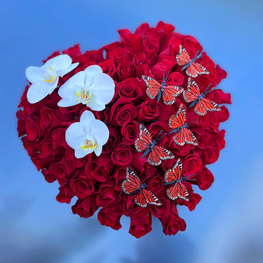 "Love and Butterflies"