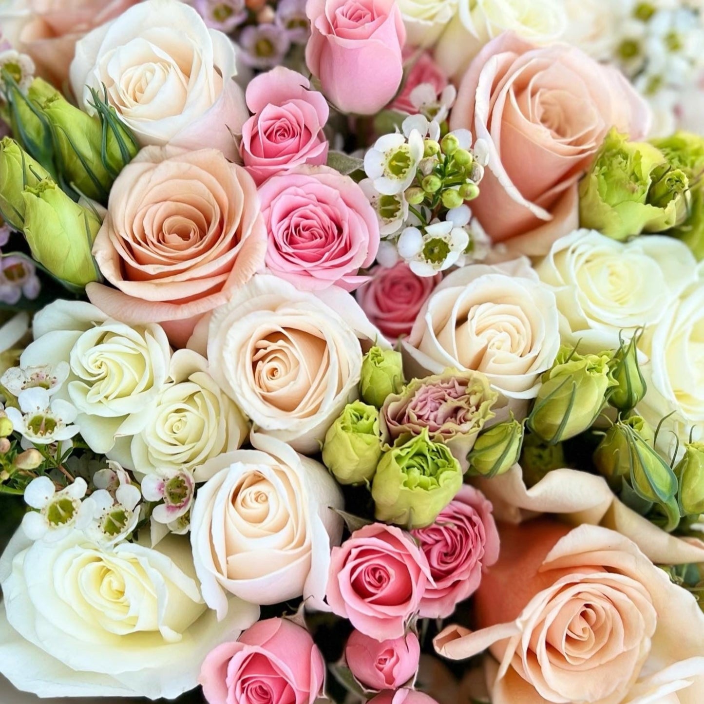 "Pastel Blossoms"