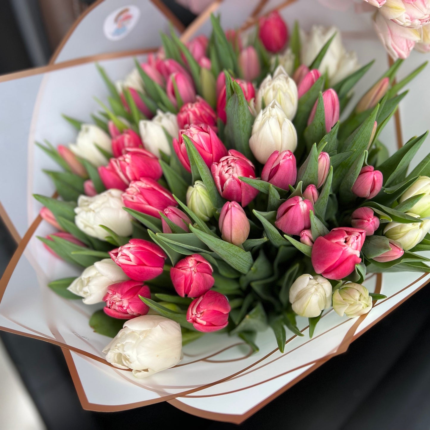 "Blushing Tulips"