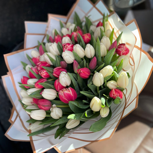"Blushing Tulips"