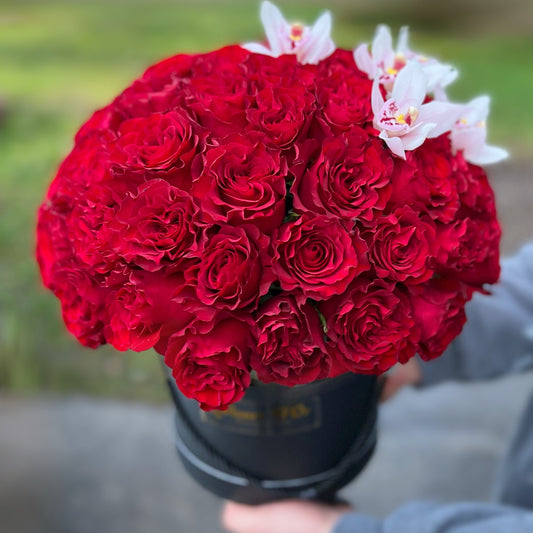 "Scarlet Hearts"