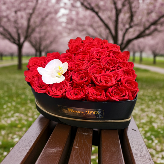 "Amour" Heart Box