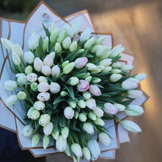 "Pastel Tulips"